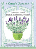Container Herbs - French Perfume Lavender