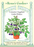 Container Eggplant - Little Prince