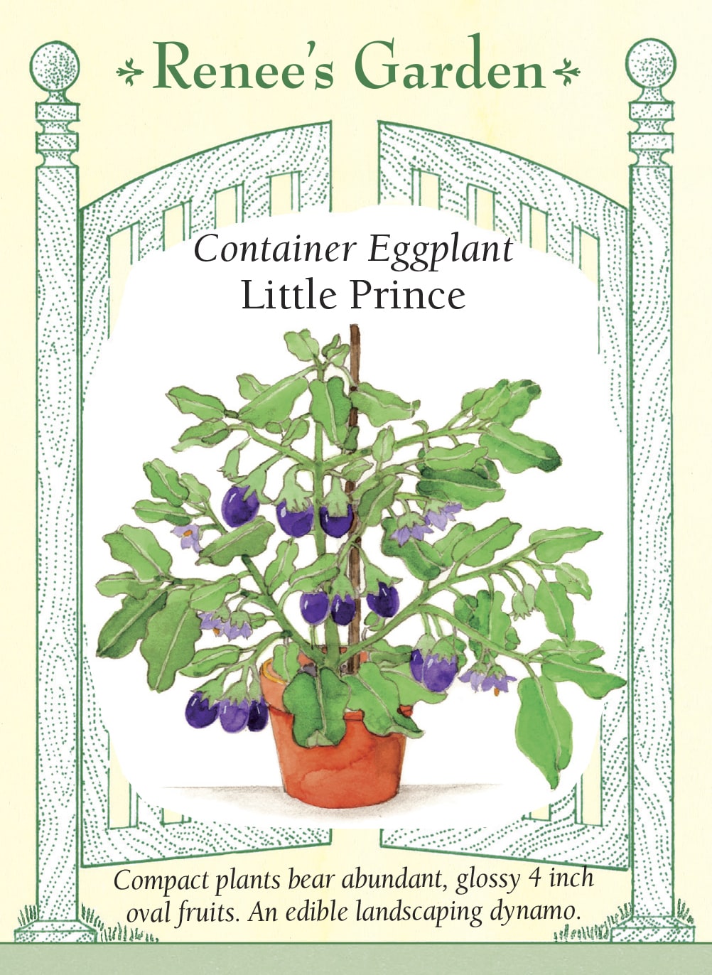 Container Eggplant - Little Prince