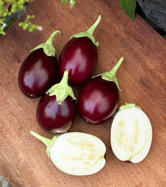Container Eggplant - Little Prince