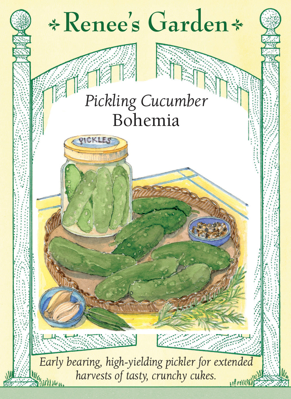 Pickling Cucumber - Bohemia