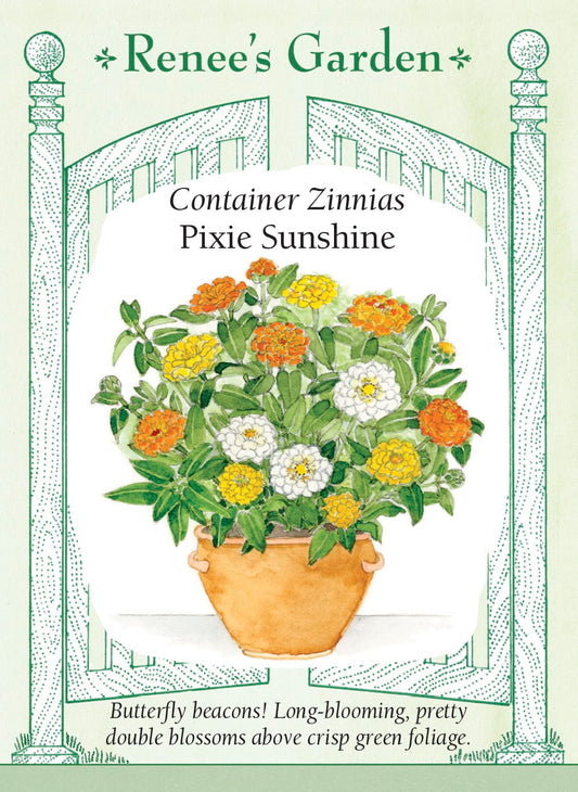 Container Zinnias - Pixie Sunshine