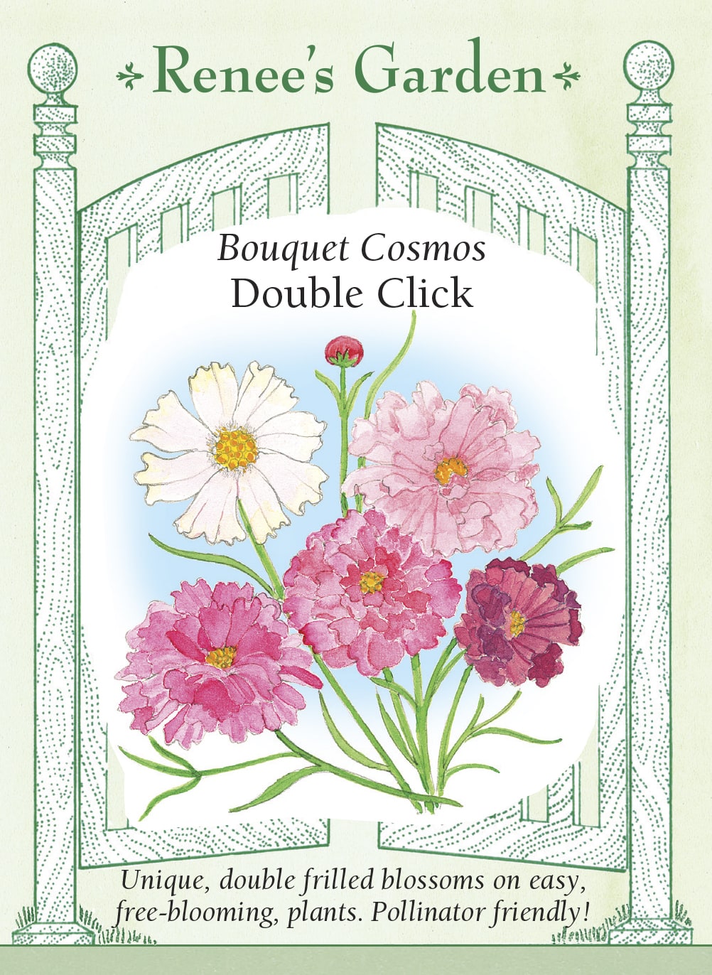 Bouquet Cosmos - Double Click