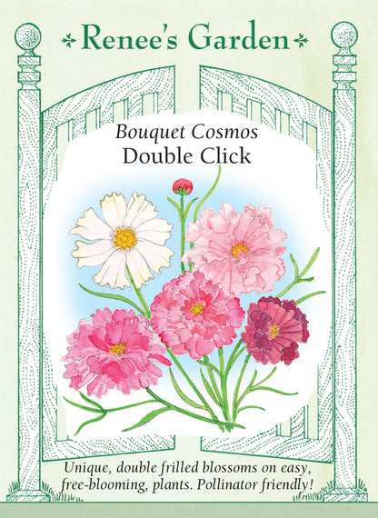 Bouquet Cosmos - Double Click