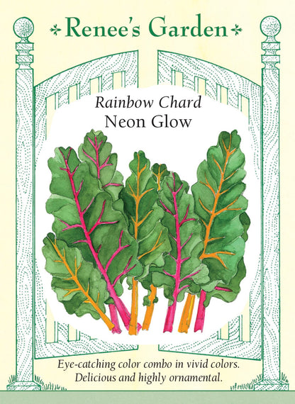 Rainbow Chard - Neon Glow