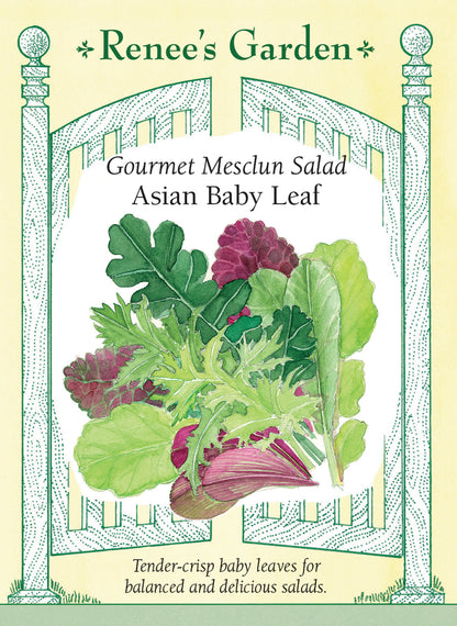 Gourmet Mesclun Salad - Asian Baby Leaf