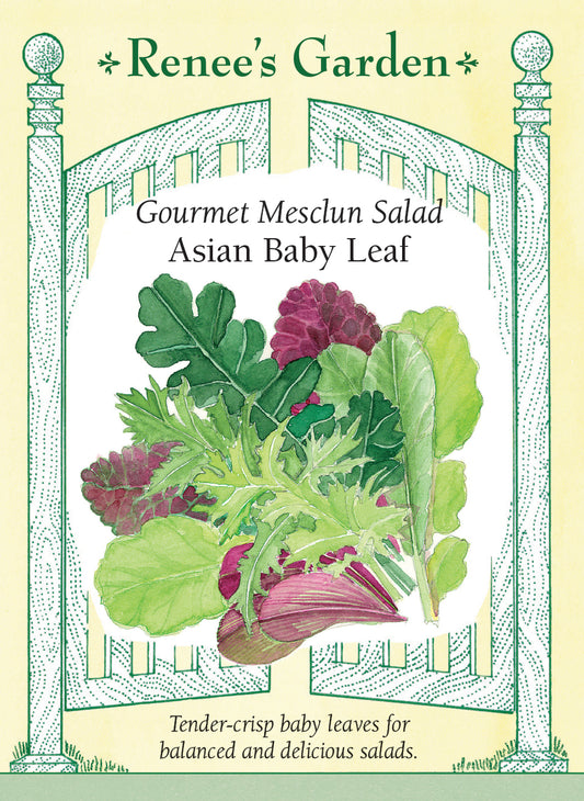 Gourmet Mesclun Salad - Asian Baby Leaf