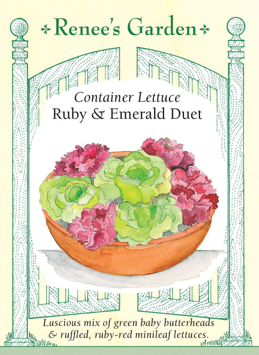 Container Lettuce - Ruby & Emerald Duet
