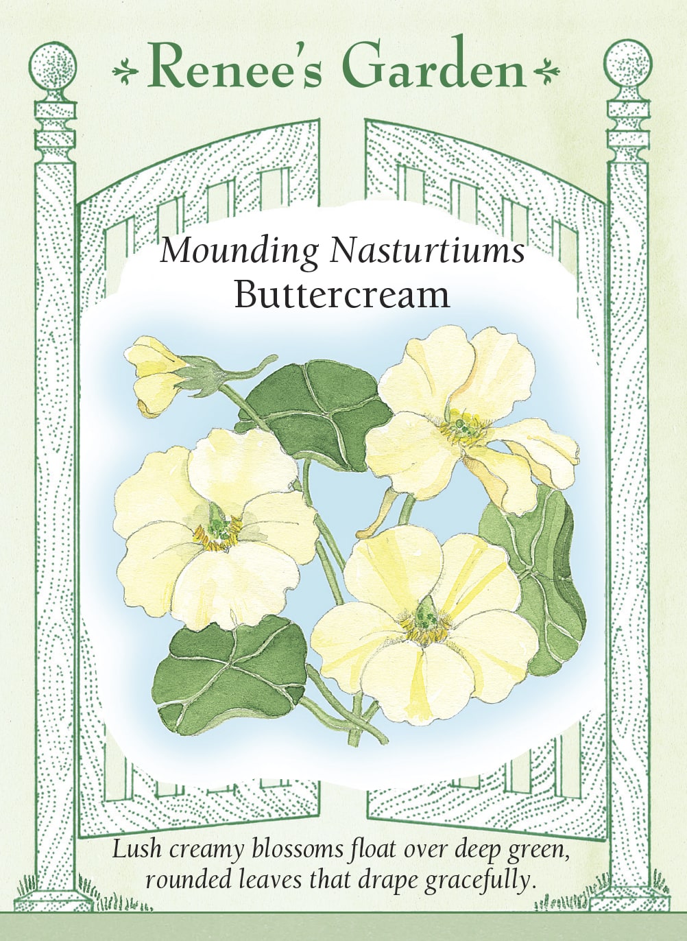 Mounding Nasturtiums - Buttercream