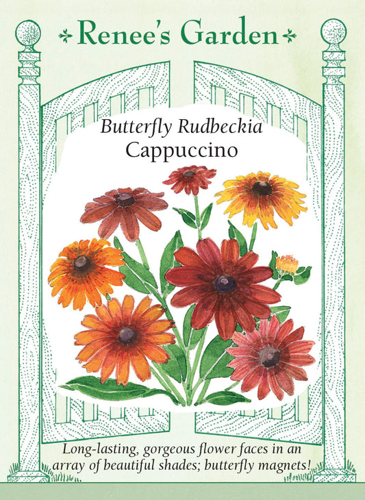 Butterfly Rudbeckia - Cappucino