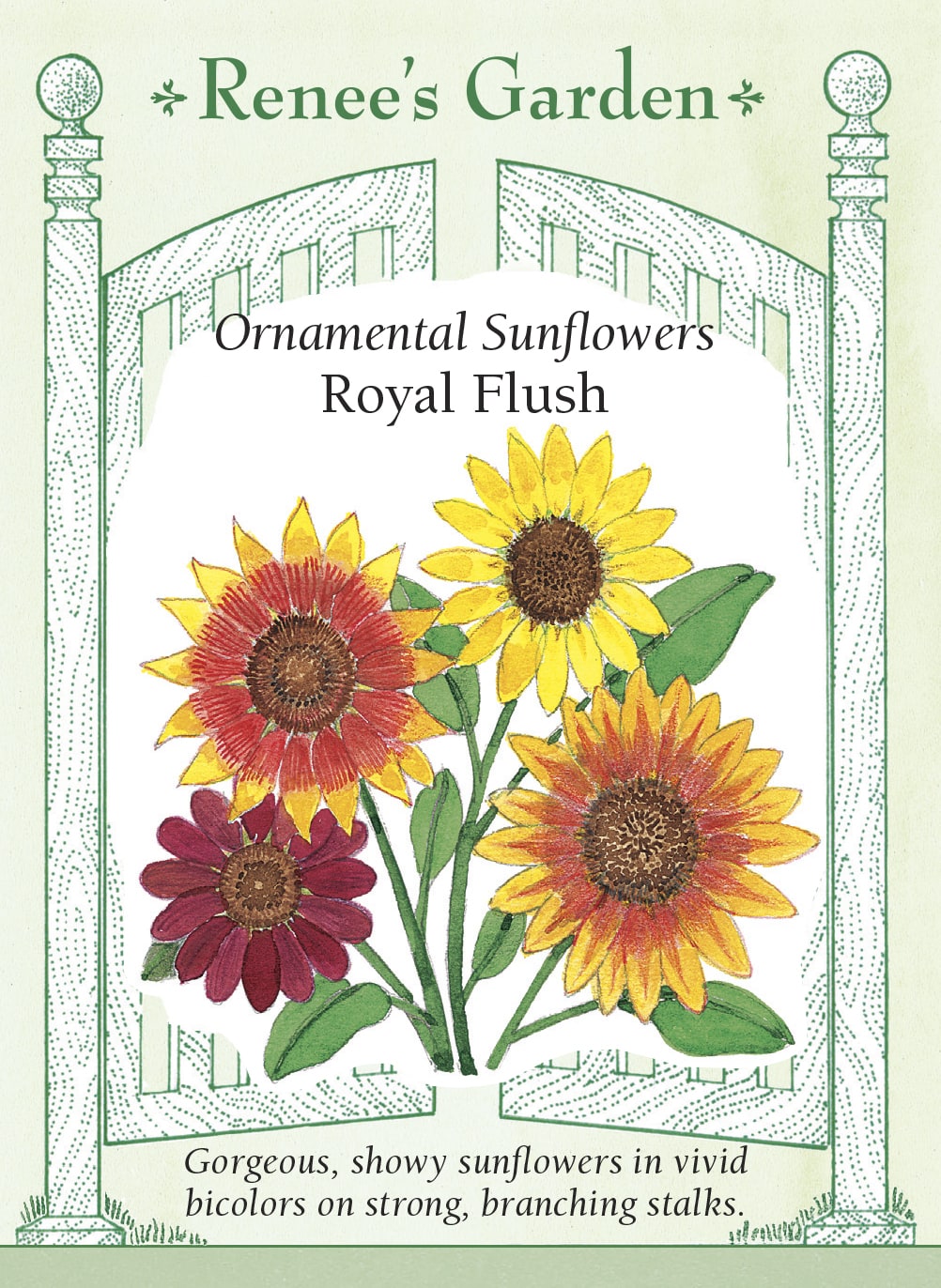 Ornamental Sunflowers - Royal Flush