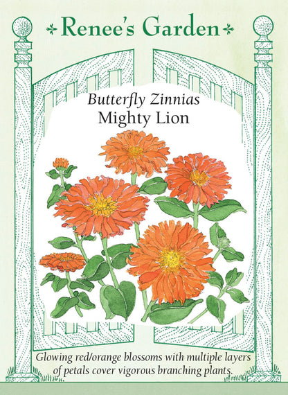 Butterfly Zinnias - Mighty Lion