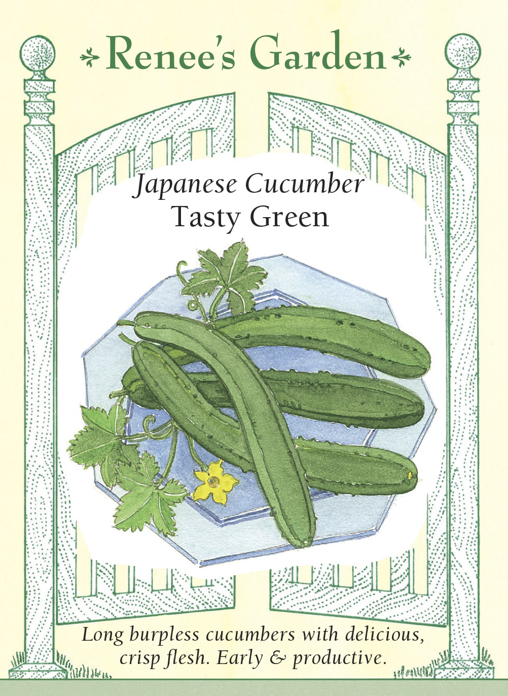 Japanese Cucumber - Tasty Green