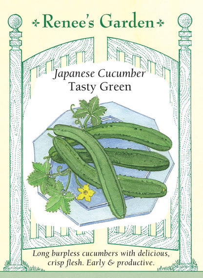Japanese Cucumber - Tasty Green