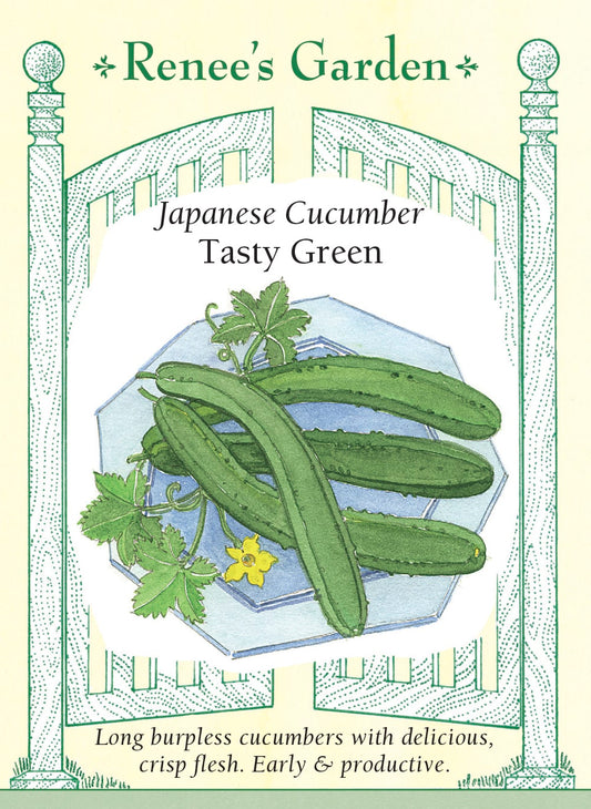 Japanese Cucumber - Tasty Green