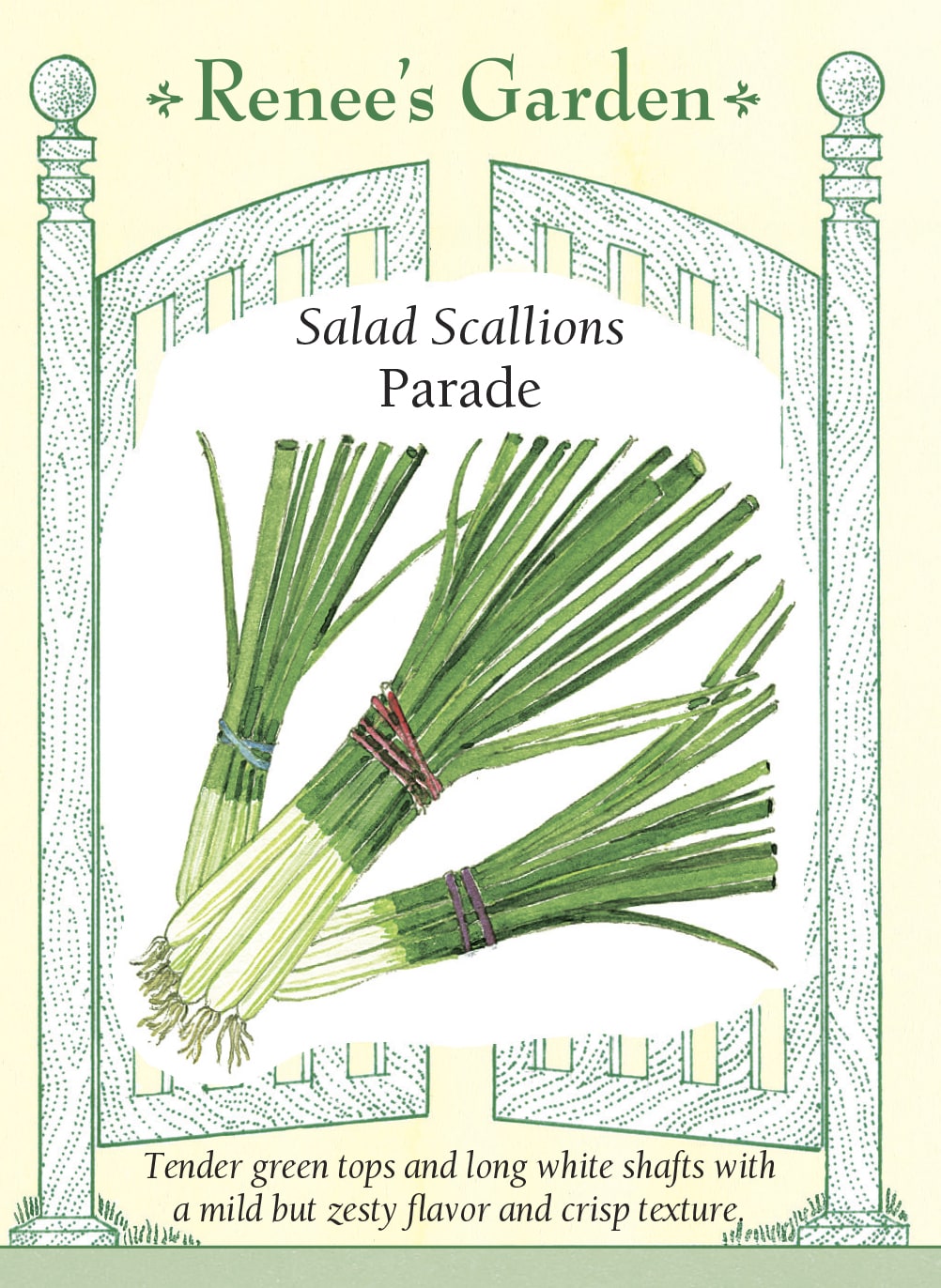 Salad Scallions - Parade
