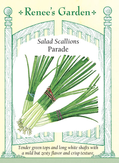 Salad Scallions - Parade
