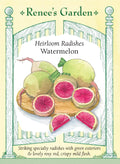 Heirloom Radishes - Watermelon