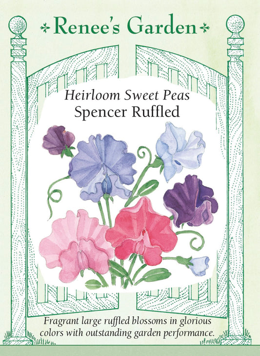 Heirloom Sweet Peas - Spencer Ruffled
