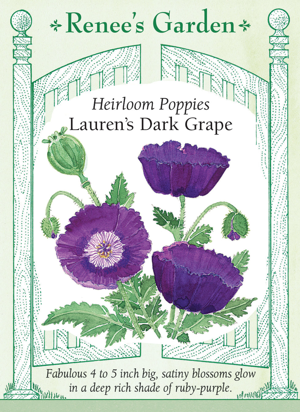 Heirloom Poppies - Lauren’s Dark Grape