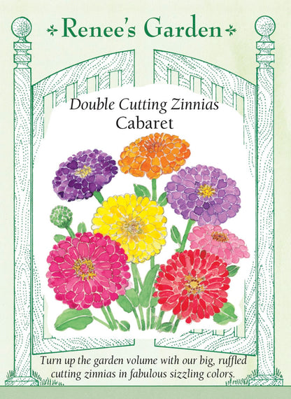 Double Cutting Zinnias - Cabaret