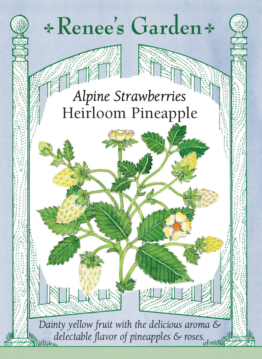 Alpine Strawberries - Heirloom Pineapple