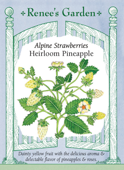 Alpine Strawberries - Heirloom Pineapple