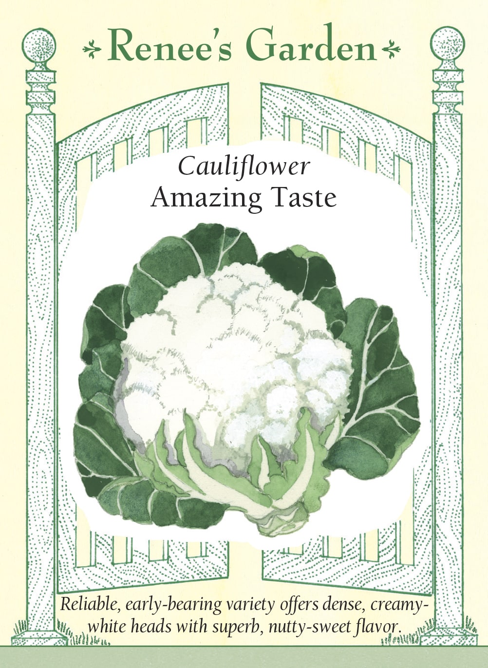 Cauliflower - Amazing Taste