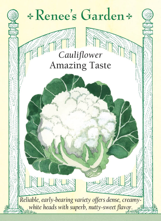 Cauliflower - Amazing Taste