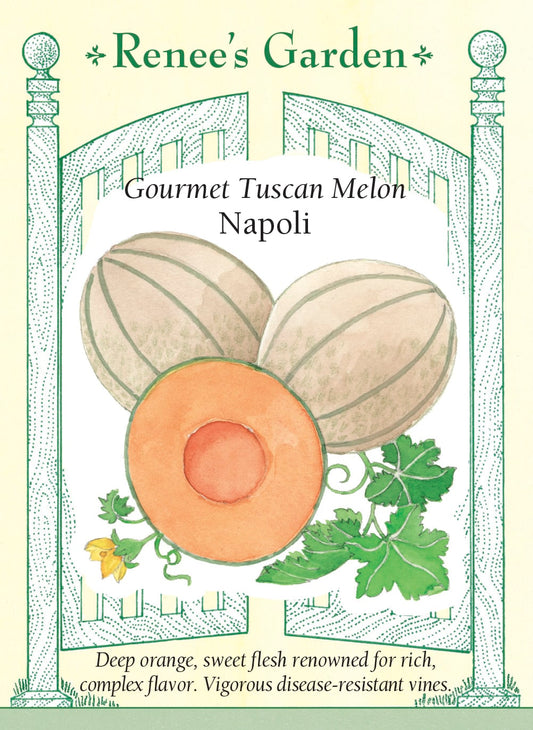 Gourmet Tuscan Melon - Napoli
