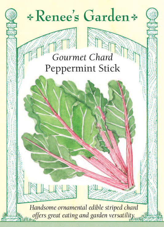 Gourmet Chard - Peppermint Stick