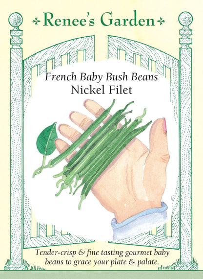 French Baby Bush Beans - Nickel Filet