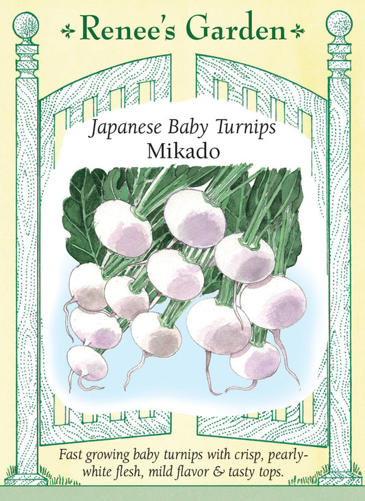 Japanese Baby Turnips - Mikado