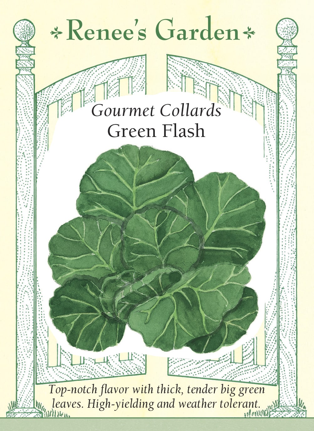 Gourmet Collards - Green Flash
