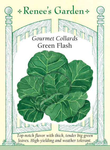 Gourmet Collards - Green Flash