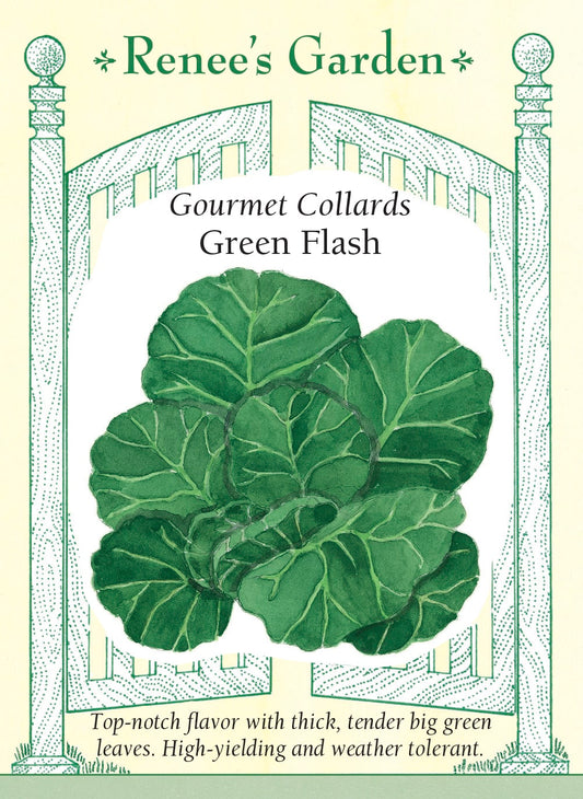 Gourmet Collards - Green Flash