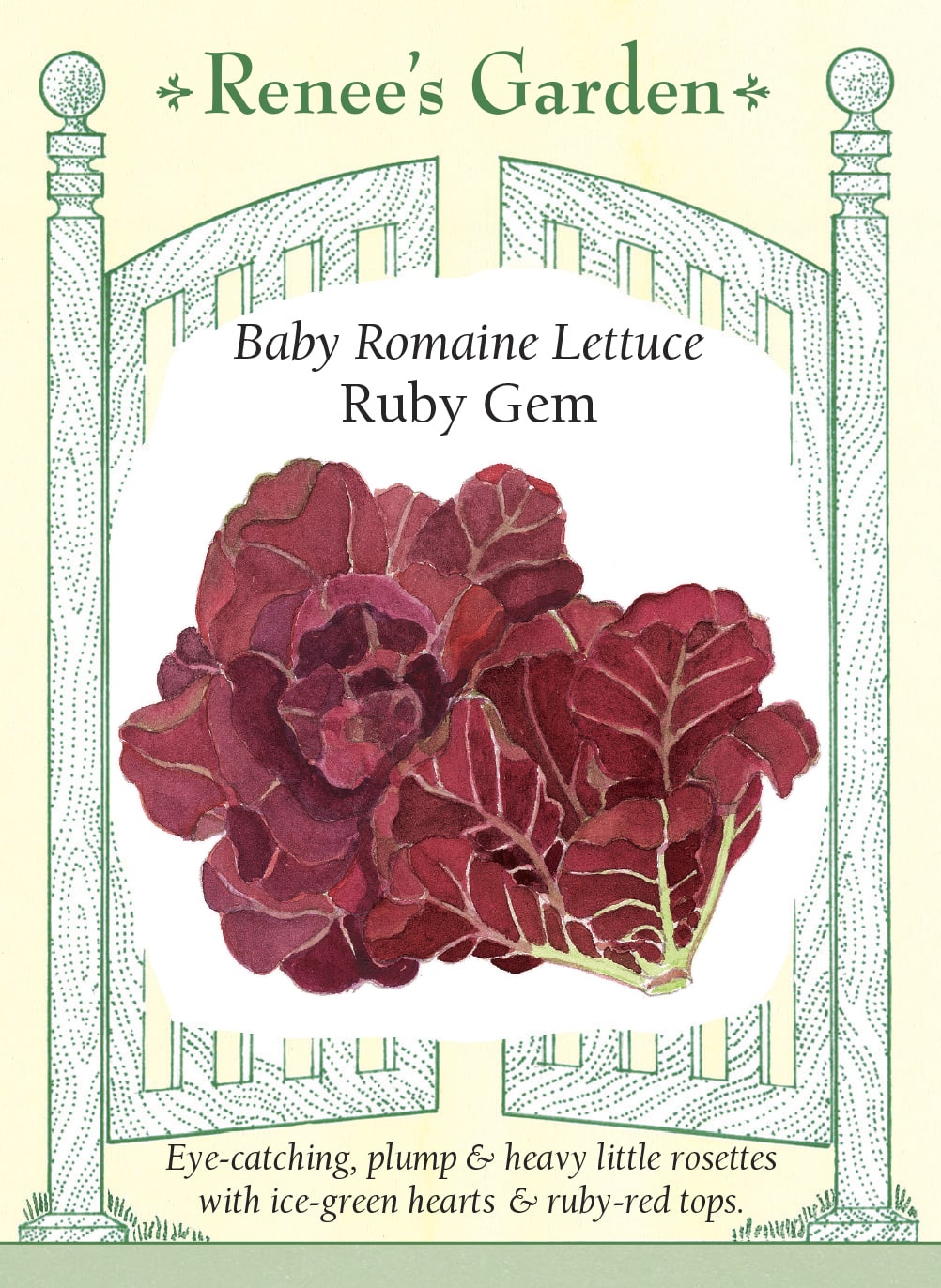 Baby Romaine Lettuce - Ruby Gem
