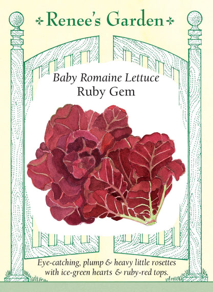 Baby Romaine Lettuce - Ruby Gem