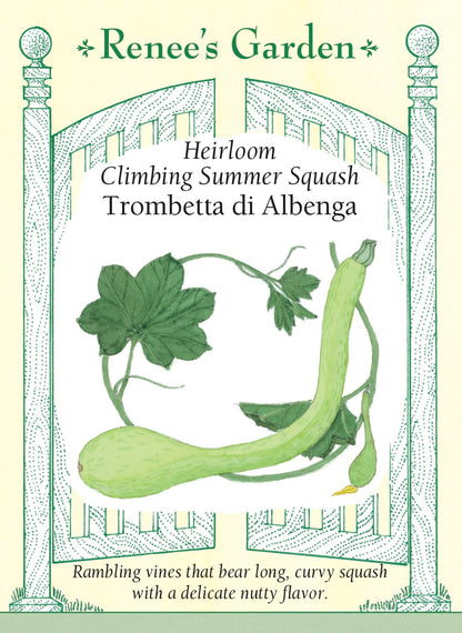 Heirloom Climbing Summer Squash - Trombetta di Albenga