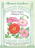 Shirley Poppies - Falling In Love