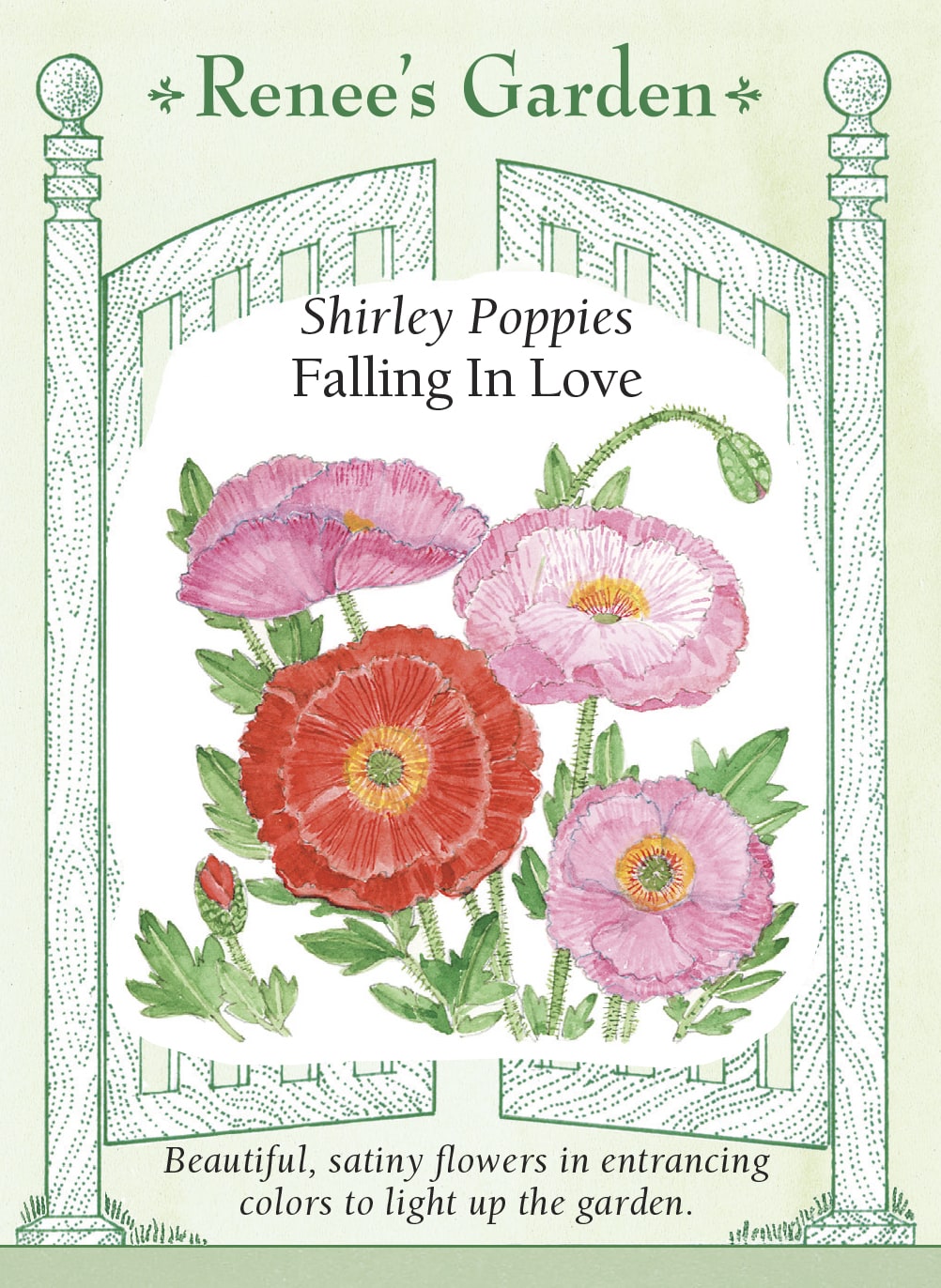 Shirley Poppies - Falling In Love
