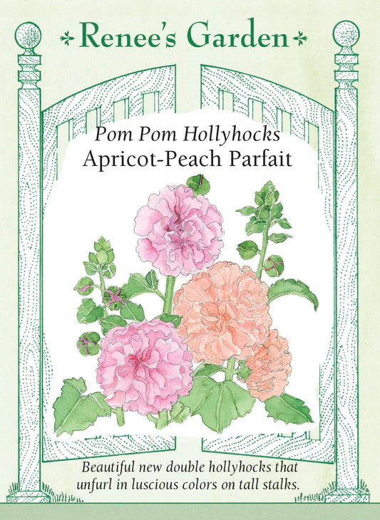 Pom Pom Hollyhocks - Apricot-Peach Parfait