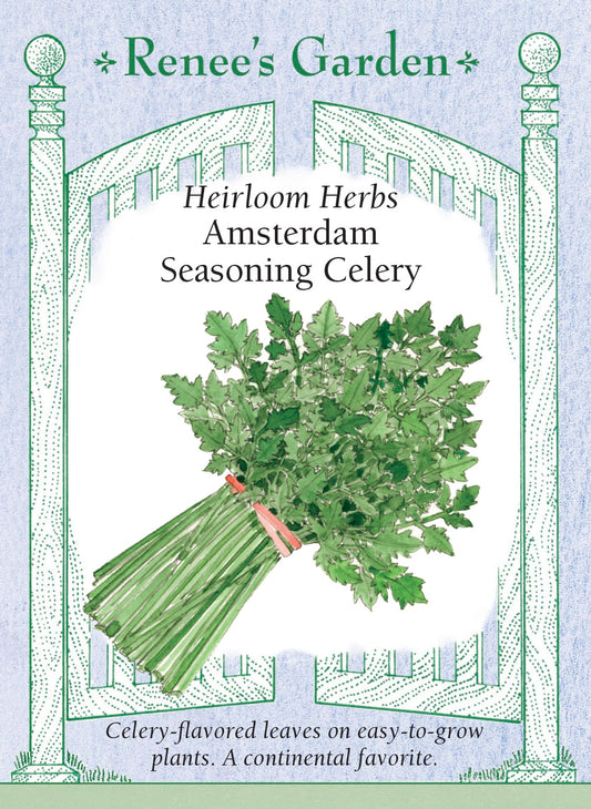 Heirloom Herbs - Amsterdam Seasoning Celery
