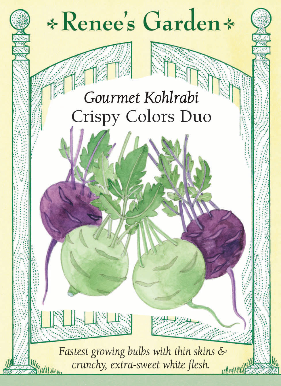 Gourmet Kohlrabi - Crispy Colors Duo