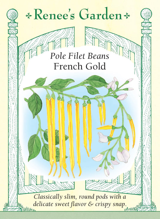 Pole Filet Beans - French Gold
