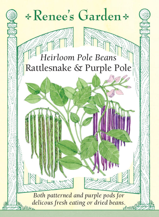 Heirloom Pole Beans - Rattlesnake & Purple Pole