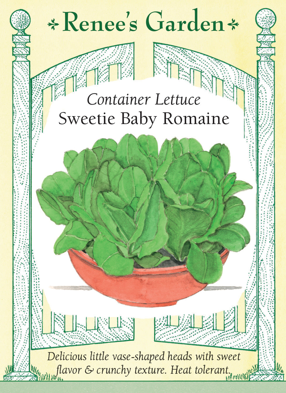 Container Lettuce - Sweetie Baby Romaine