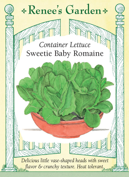 Container Lettuce - Sweetie Baby Romaine