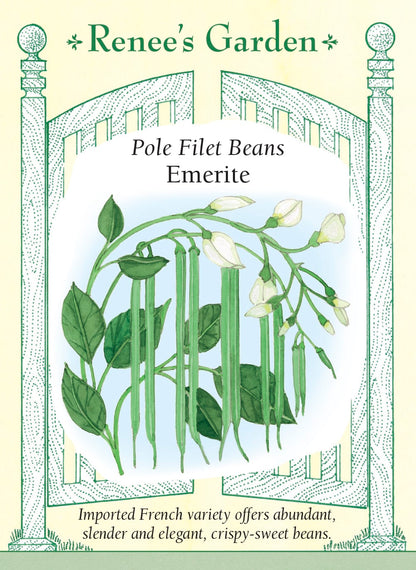 Pole Filet Beans - Emerite