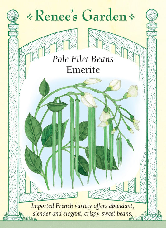 Pole Filet Beans - Emerite